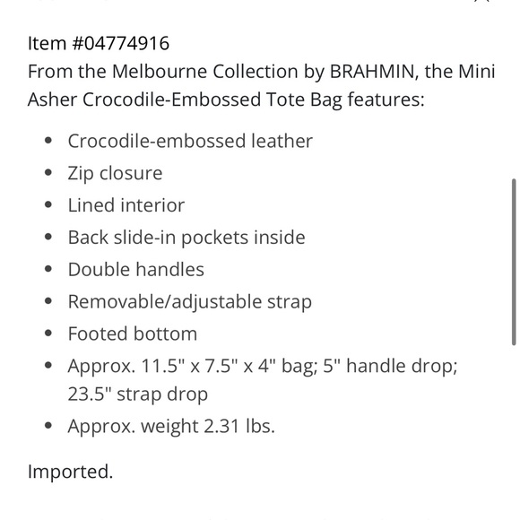 Melbourne Collection Asher Crocodile 🐊 Embossed Tote Bag (Mini) - Picture 7 of 10